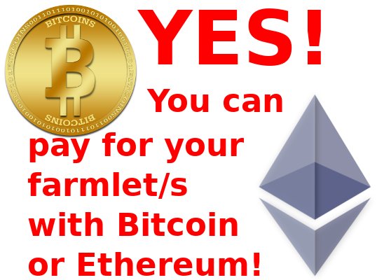 Bitcoin or Ethereum